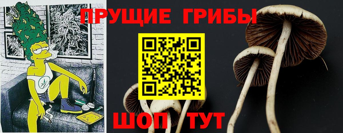 Псилоцибиновые грибы прущие грибы Сафоново