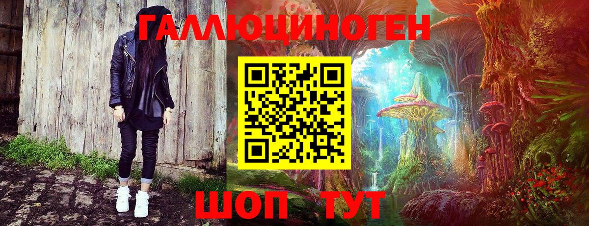 что такое   Вход с VPN  Сафоново  Псилоцибиновые грибы мицелий 
